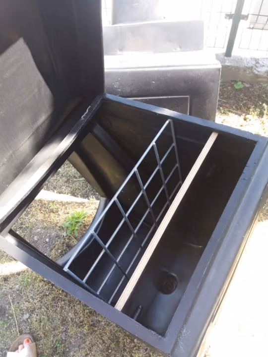 Paśnik duży widok z góry